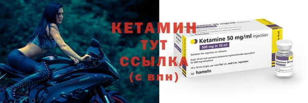 шишки Беломорск
