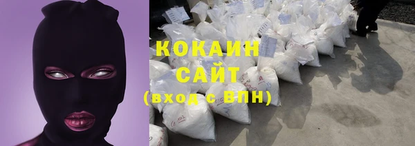 шишки Беломорск