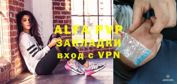 шишки Беломорск
