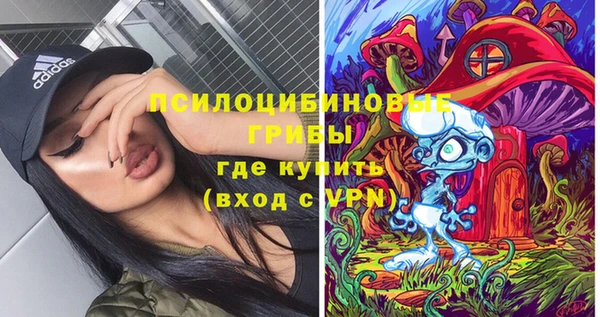 первитин Белокуриха
