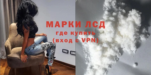 шишки Беломорск