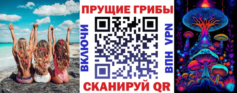 Псилоцибиновые грибы Psilocybe  Гусев 