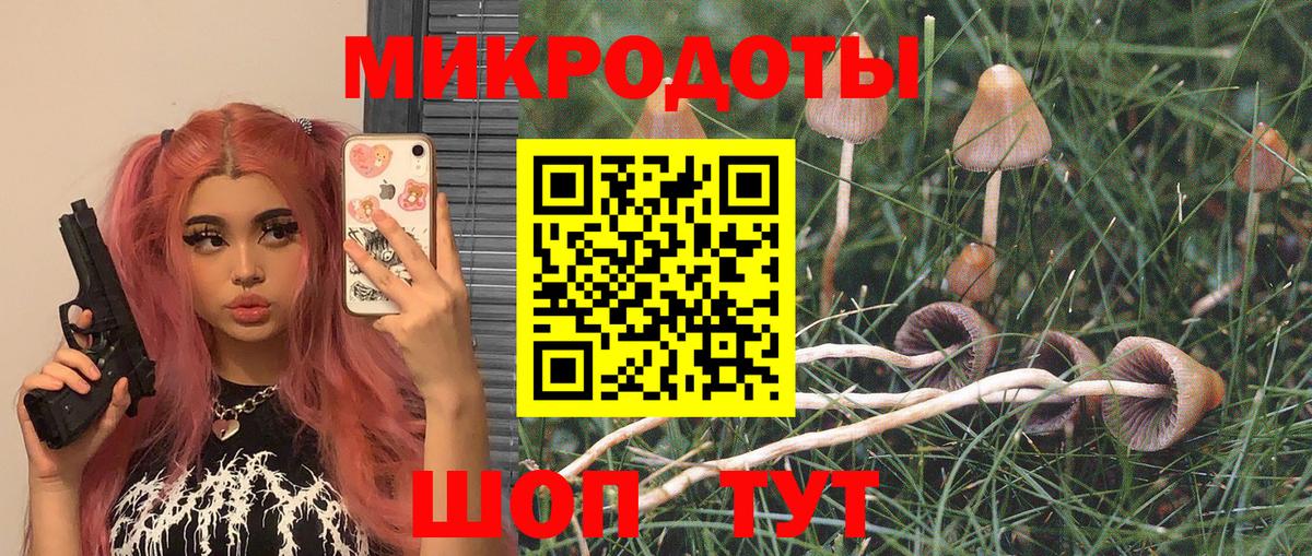 Псилоцибиновые грибы прущие грибы  Вход с VPN  Гусев 