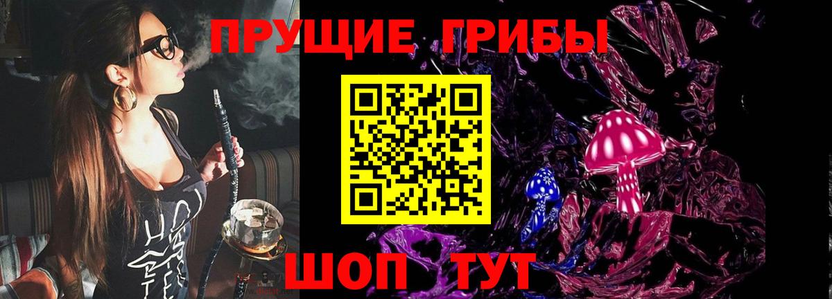 Псилоцибиновые грибы мухоморы Гусев